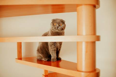 Sessão fotográfica em casa - Leiria'