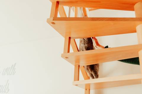 Sessão fotográfica em casa - Leiria'