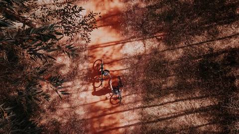 cachorro, casal, noivos, pré-wedding, ensaio de casal, bike, fotógrafa de casamento, thais augusto fotografia fotografa autoral ensaio personalizado, cachorro, bike, trilha, trilha do linhão, cemiterio drone, bauru, noivos casal foto de casal'