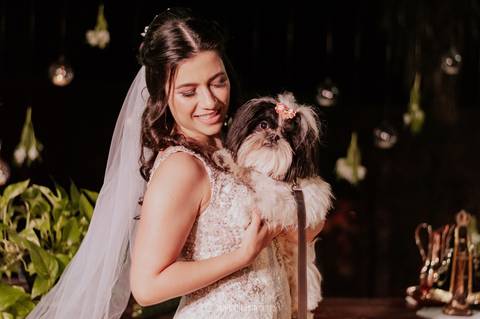 cachorra no dia do casamento com a noiva'