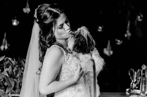 noiva com cachorra shitzu no dia do casamento'