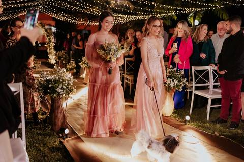 cachorro na entrada do casamento das alianças casamento na chacara veneza chitzu na entrada do casamento cachorrinha no casamento cao na entrada do casamento festa de casamento com entrada de cachorros'