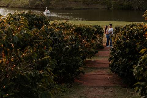 ensaio no pôr do sol para casais que querem e gostam de fotos espontâneas e criativas, fotos por @thaisaugustofotografia melhor fotógrafa do interior, fotos com personalidade do casal, romântico, dinâmico e botucatu cuesta café girassol, cafezal'