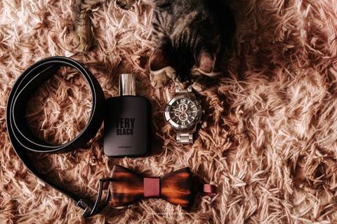 Gatinho ajudando a arrumar os itens que o noivo usará no casamento'