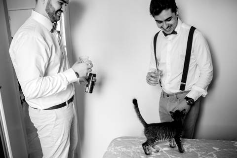 Noivo e cunhado brincando com o gatinha em cima da cama'