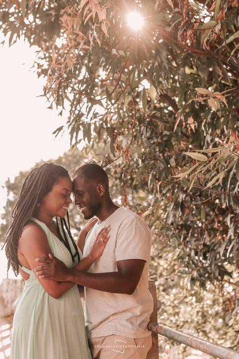 Pinheiro em araraquara Thais Augusto Fotografia @ape372terreo araraquara-sp @tagdecasamento @thaisaugustofotografia'