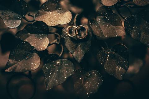 Casamento Rústico Boho Chic Petrópolis Pousada Recanto dos Pinheiros Vestido Noiva Inspiração Noivos Gravata Borboleta Noivo Padrinhos Madrinhas de Casamento Vestido de Madrinha Pousada para se Casar Petrópolis Rio de Janeiro Ensaio Casal Making of Noiva'