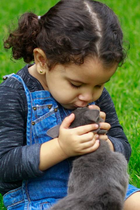 Close da menina com sua gatinha. Menina dando um beijinho na gata'