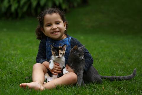 Menina sentada no gramado do jardim, com suas duas gatinhas no colo. Criança e gatas olham para câmera'