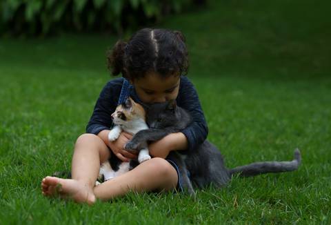 Menina sentada no gramado do jardim, com suas duas gatinhas no colo. Menina beija cabeça de uma das gatinhas'