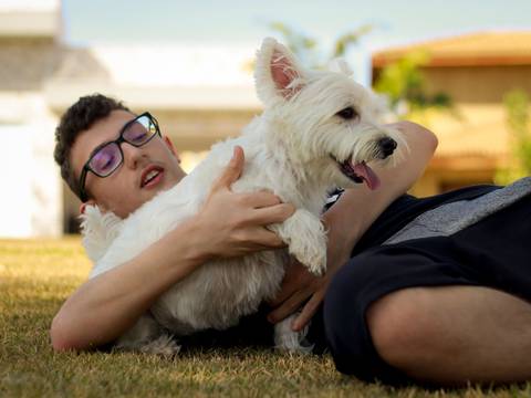 Cachorra Jade brinca com seu dono no gramado'