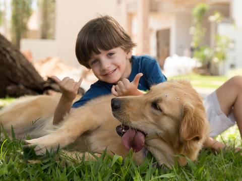A pet Golden Nanny posa para fotografia com seu irmão humano mais novo, em meio a brincadeiras'