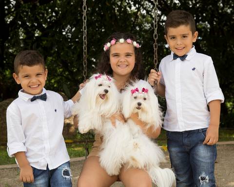 Os três irmãos juntos com as duas maltês da família'