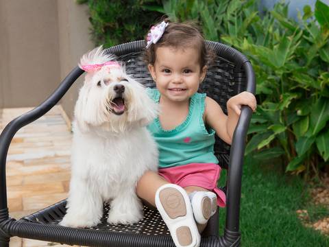 A pequena maltês posa com sua pequena irmâ humana, sentadinha na cadeira'