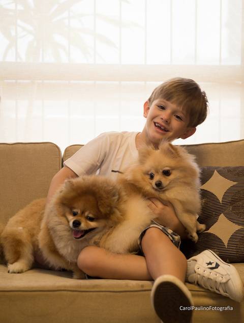 Os dois irmãos Spitz posam com seu irmão humano, no sofá de casa'