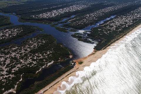 Restinga de Jurubatiba'