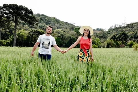 Ensaio Pré Wedding em campos de trigo na cidade de Campo Largo - PR'