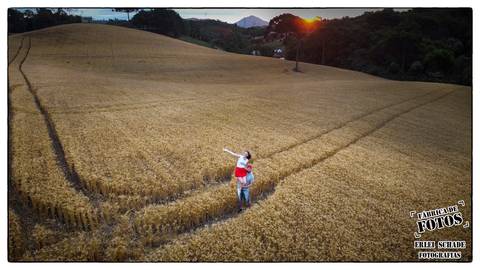 Ensaio em Campos de trigo. 
Fotos com drone.
Campo Largo - PR'