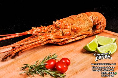 Fotografia de Gastronomia / Frutos do Mar / Lagosta / Peixaria'