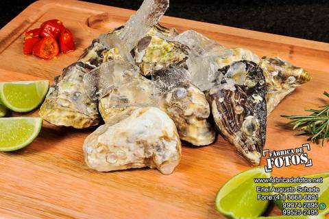 Fotografia de Gastronomia / Frutos do Mar  / Peixaria'