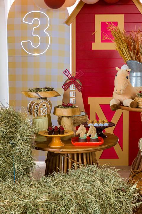 Detalhes da decoração rústica de fazenda em aniversário de criança em Vinhedo'