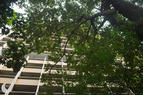 click a pé 9 de julho fotografia sp cidade'