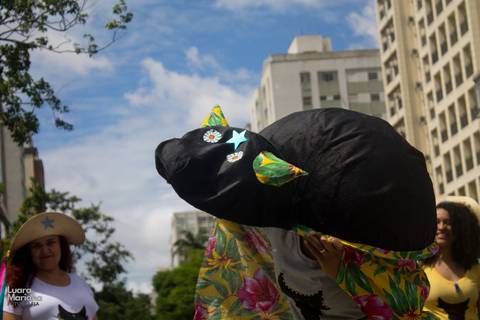 click a pé minhocão fotografia sp'