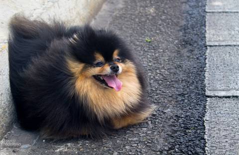 click a pé minhocão fotografia sp'