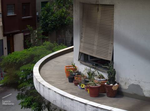 click a pé minhocão fotografia sp'