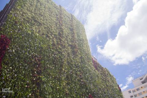 click a pé minhocão fotografia sp'