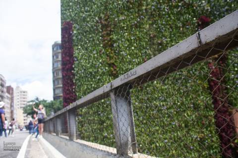 click a pé minhocão fotografia sp'