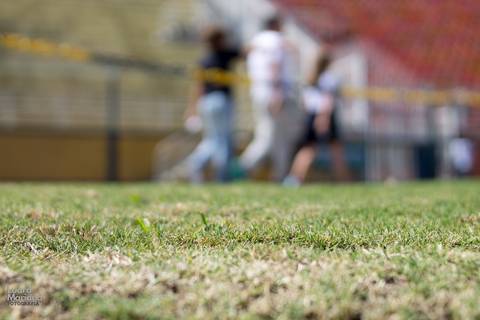 museu do futebol pacaembu click a pe fotografia'