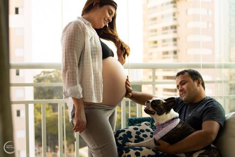 book gestante em casa ensaio lifestyle fotografia a domicilio sp pet'