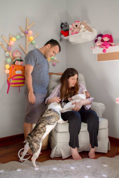 ensaio newborn lifestyle book bebe recem nascido familia casa sp fotografia domicilio'