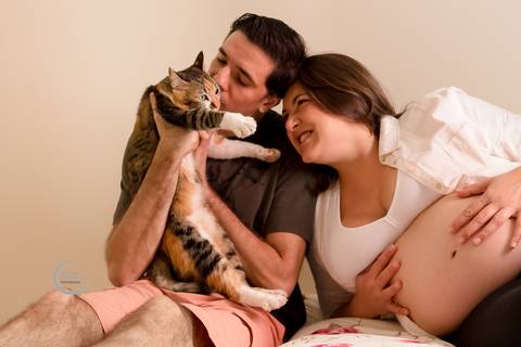 ensaio gestante lifestyle tatuape analia franco sp fotografia a domicilio fotografa de familia pet gato'
