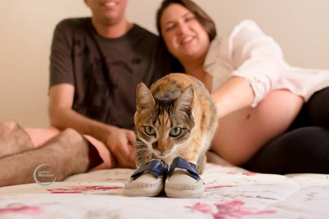 ensaio gestante lifestyle tatuape analia franco sp fotografia a domicilio fotografa de familia pet gato'