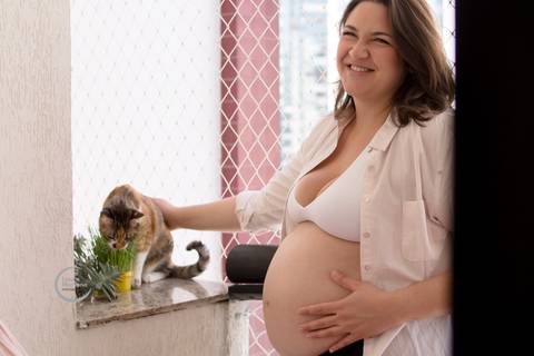 ensaio gestante lifestyle tatuape analia franco sp fotografia a domicilio fotografa de familia pet gato'
