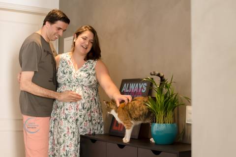 ensaio gestante lifestyle tatuape analia franco sp fotografia a domicilio fotografa de familia pet gato'