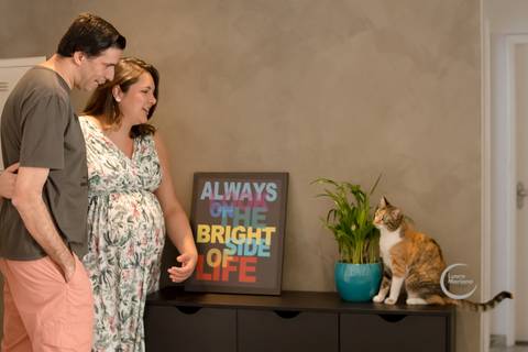 ensaio gestante lifestyle tatuape analia franco sp fotografia a domicilio fotografa de familia pet gato'