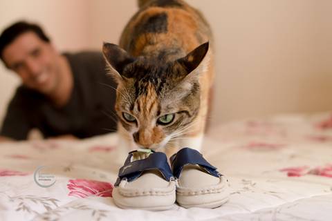 ensaio gestante lifestyle tatuape analia franco sp fotografia a domicilio fotografa de familia pet gato'