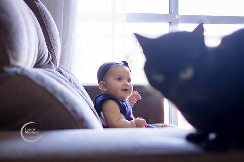 ensaio lifestyle 6 meses fotografia de familia a domicilio sp pet'