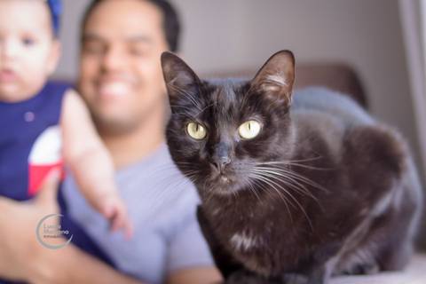 ensaio lifestyle 6 meses fotografia de familia a domicilio sp'