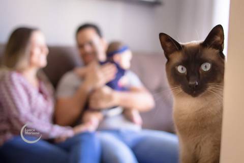 ensaio lifestyle 6 meses fotografia de familia a domicilio sp'