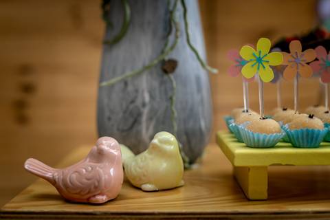 decoração festa infantil tema primavera flores de papel colorida Brasília papel e tesoura personalizada'