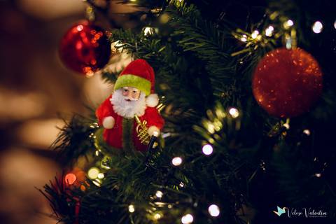 Enfeite de papai noel em árvore de natal'