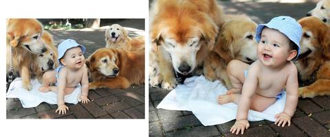 Ensaio de Bebê com cachorros.'