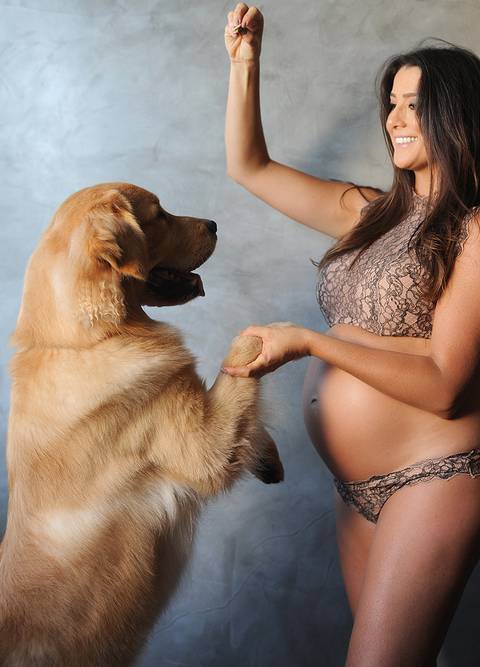 mulher gravida segurando a pata do cachorro com uma das mãos enquanto com a outra alimenta seu Fotografia de gestante com seu Cão, um Golden Retriever, ambos estão voltados de frente um para o outro.'