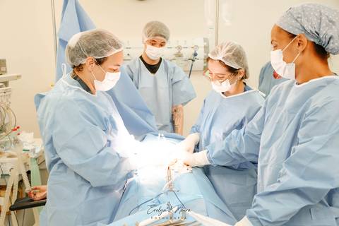 Fotografia de Parto - Newborn - Evelyn Moura Fotografia em Niterói, Rio de Janeiro - ensaio infantil - newborn de recém nascido - partos - parto em niteroi - registro de parto - maternidade são francisco'