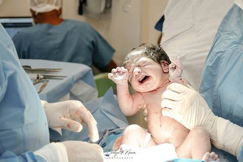 Fotografia de Parto - Newborn - Evelyn Moura Fotografia em Niterói, Rio de Janeiro - ensaio infantil - newborn de recém nascido - partos - parto em niteroi - registro de parto - maternidade são francisco - doce nascer - parto humanizado'