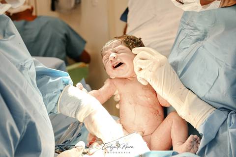 Fotografia de Parto - Newborn - Evelyn Moura Fotografia em Niterói, Rio de Janeiro - ensaio infantil - newborn de recém nascido - partos - parto em niteroi - registro de parto - maternidade são francisco - doce nascer - parto humanizado'